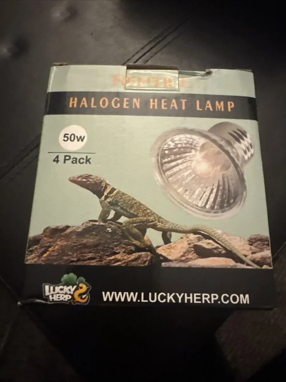 Reptile 4 Pack 50W (120V) Light Bulbs for Heat Lamp
